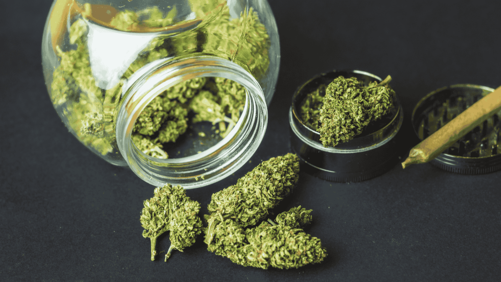 How to Store a Big Harvest Without the Mould: The 750g&nbsp;Rule